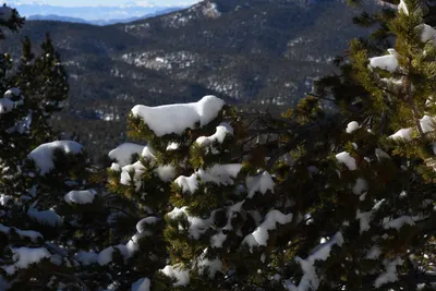 DSC_4989 (Large).JPG